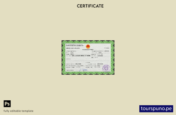 listo para imprimir plantilla de plantilla PSD de certificado de nacimiento de V
